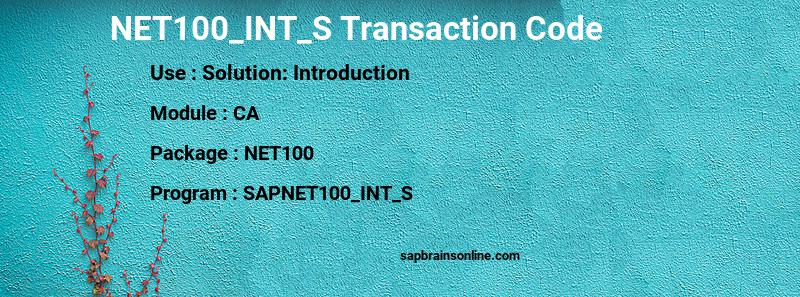 SAP NET100_INT_S transaction code