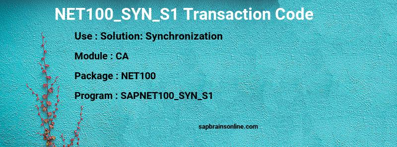 SAP NET100_SYN_S1 transaction code