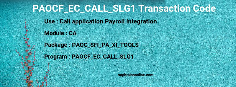 SAP PAOCF_EC_CALL_SLG1 transaction code