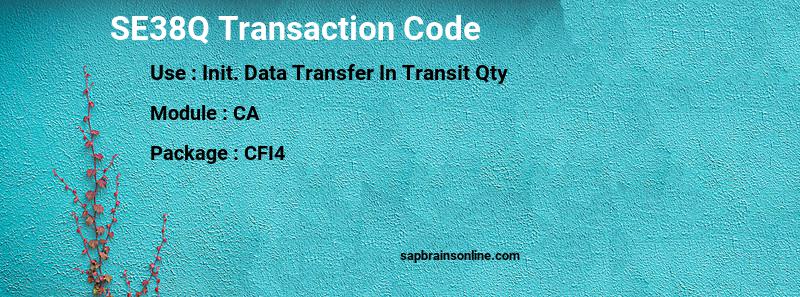 SAP SE38Q transaction code