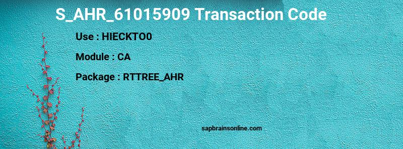 SAP S_AHR_61015909 transaction code