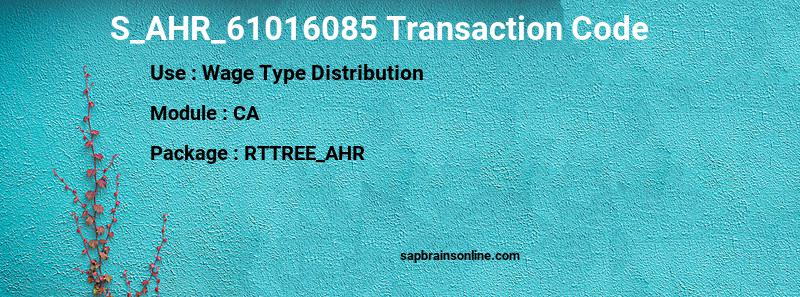 SAP S_AHR_61016085 transaction code