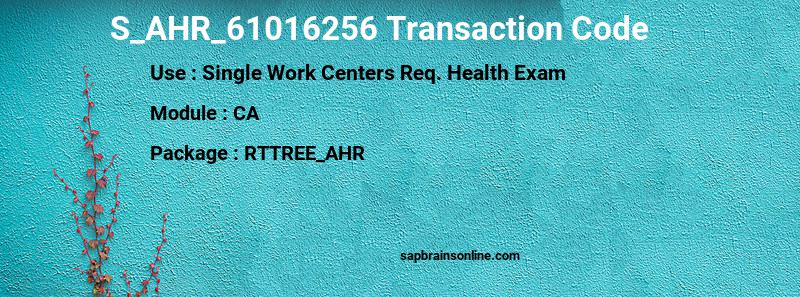 SAP S_AHR_61016256 transaction code