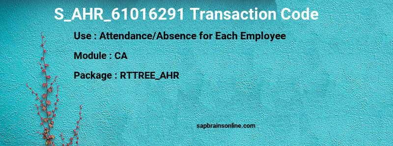SAP S_AHR_61016291 transaction code
