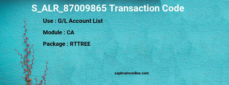SAP S_ALR_87009865 transaction code