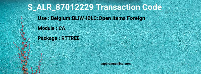 SAP S_ALR_87012229 transaction code