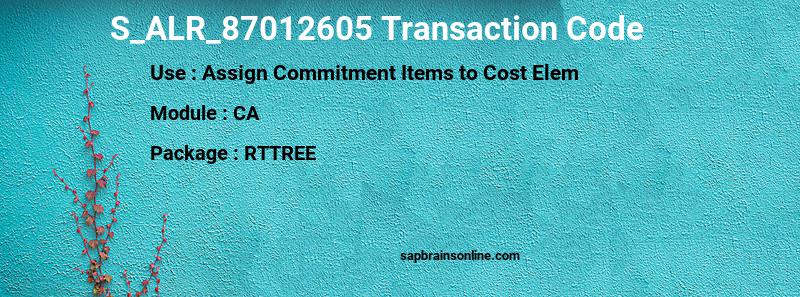 SAP S_ALR_87012605 transaction code