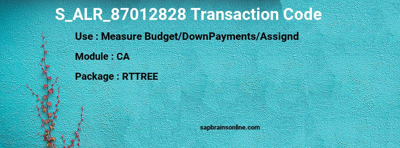 SAP S_ALR_87012828 transaction code