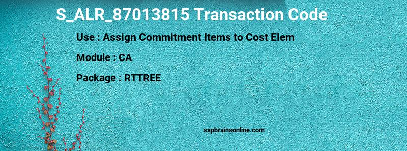 SAP S_ALR_87013815 transaction code