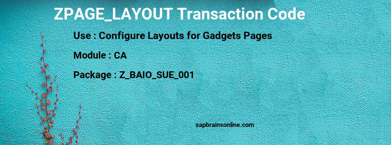 SAP ZPAGE_LAYOUT transaction code