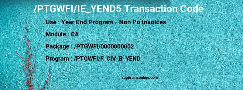 SAP /PTGWFI/IE_YEND5 transaction code