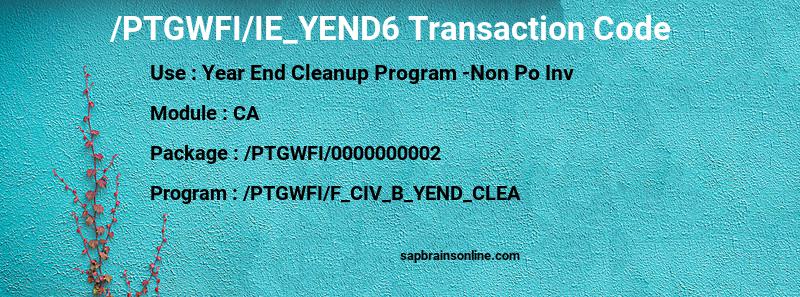 SAP /PTGWFI/IE_YEND6 transaction code