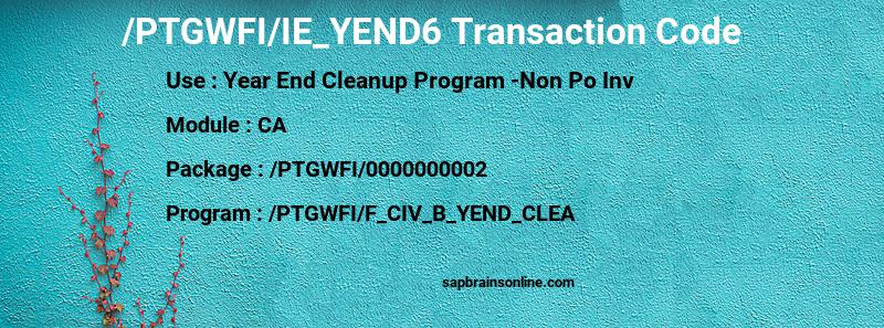 SAP /PTGWFI/IE_YEND6 transaction code