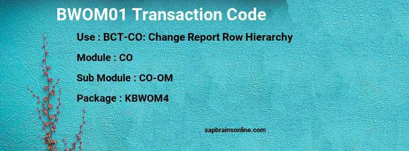 SAP BWOM01 transaction code