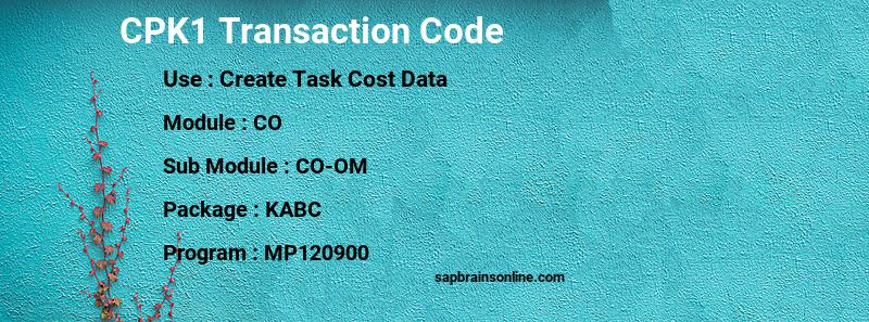 SAP CPK1 transaction code