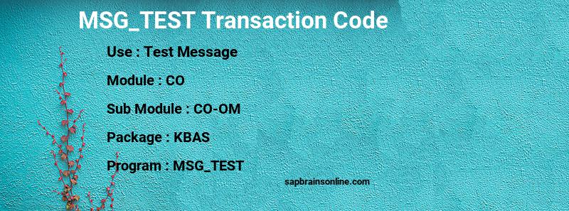 SAP MSG_TEST transaction code
