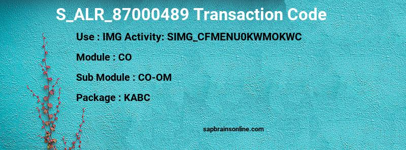 SAP S_ALR_87000489 transaction code