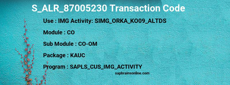 SAP S_ALR_87005230 transaction code