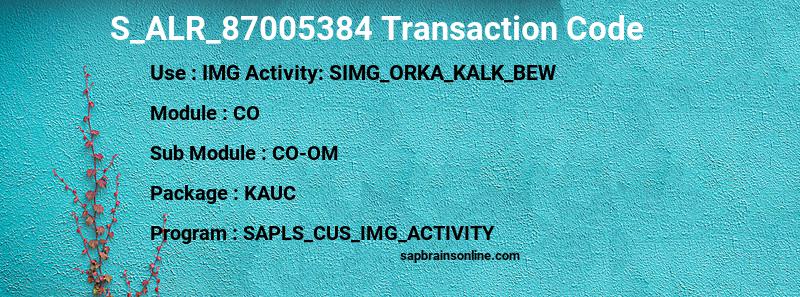 SAP S_ALR_87005384 transaction code