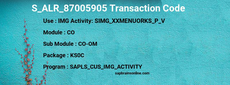 SAP S_ALR_87005905 transaction code