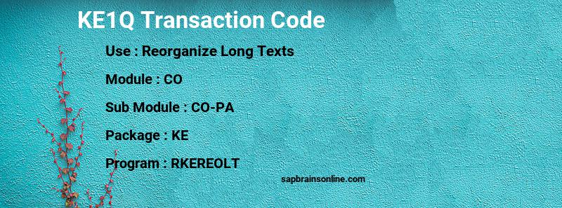 SAP KE1Q transaction code