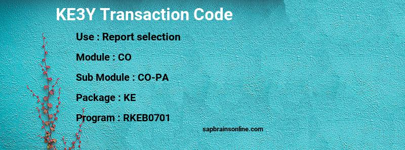 SAP KE3Y transaction code