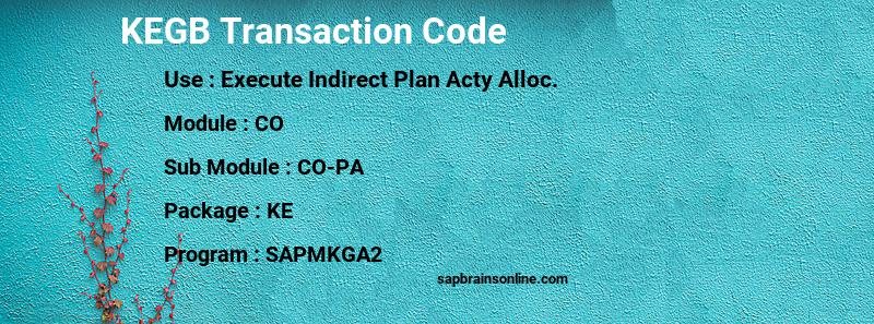 SAP KEGB transaction code