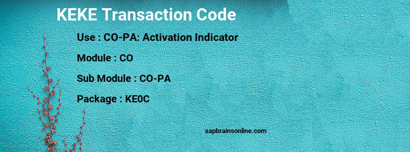 SAP KEKE transaction code