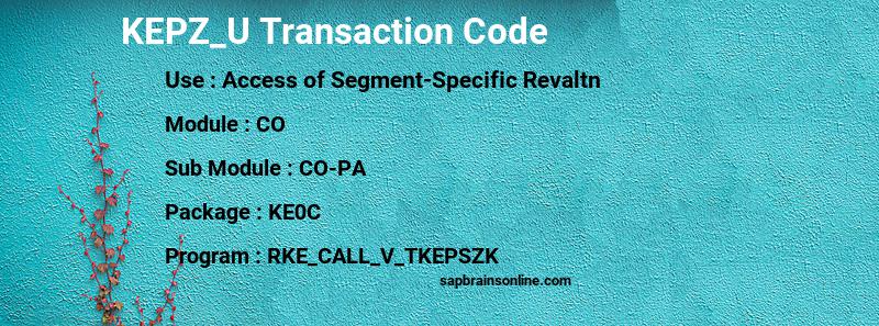 SAP KEPZ_U transaction code