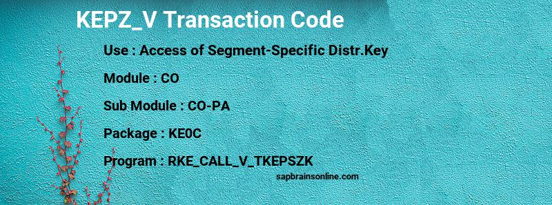SAP KEPZ_V transaction code