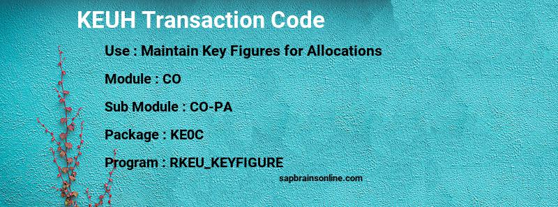 SAP KEUH transaction code