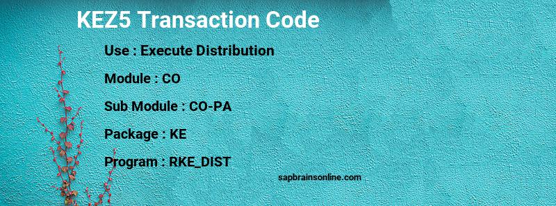 SAP KEZ5 transaction code