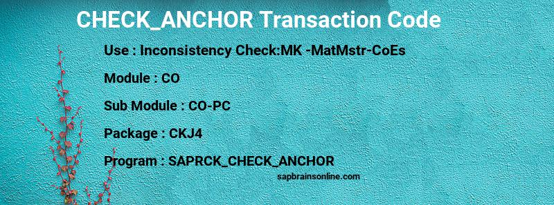SAP CHECK_ANCHOR transaction code
