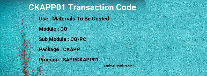 SAP CKAPP01 transaction code