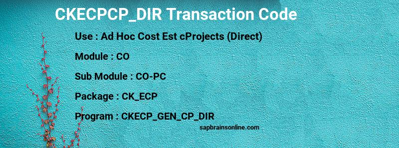 SAP CKECPCP_DIR transaction code
