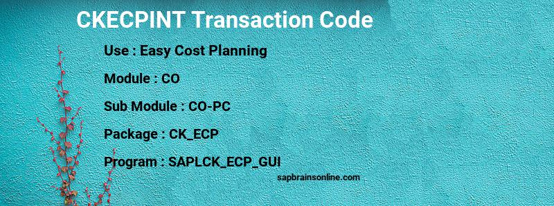 SAP CKECPINT transaction code