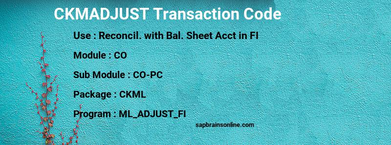 SAP CKMADJUST transaction code