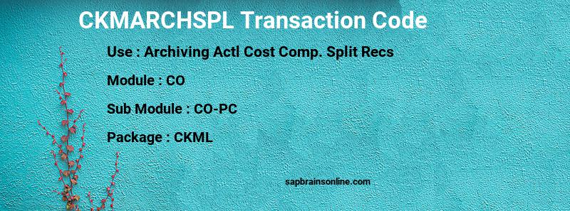 SAP CKMARCHSPL transaction code