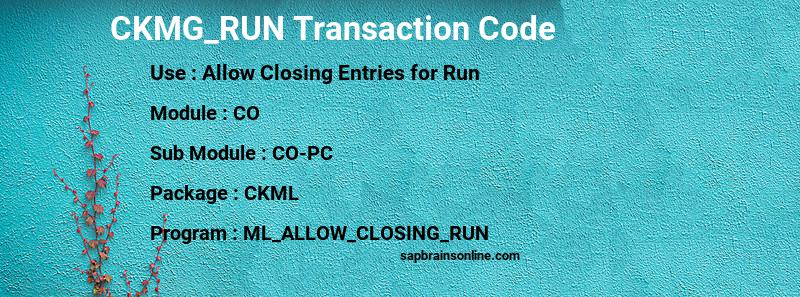 SAP CKMG_RUN transaction code