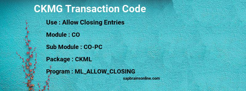 SAP CKMG transaction code