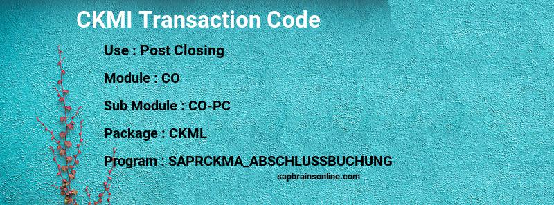 SAP CKMI transaction code