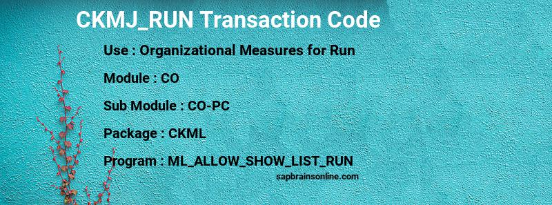 SAP CKMJ_RUN transaction code