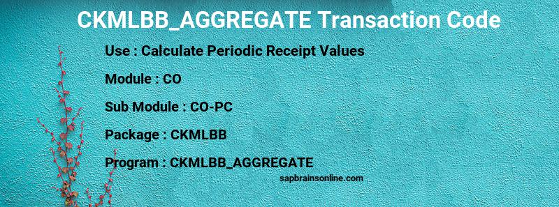 SAP CKMLBB_AGGREGATE transaction code
