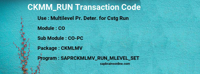 SAP CKMM_RUN transaction code