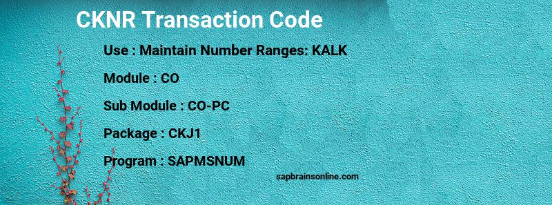 SAP CKNR transaction code