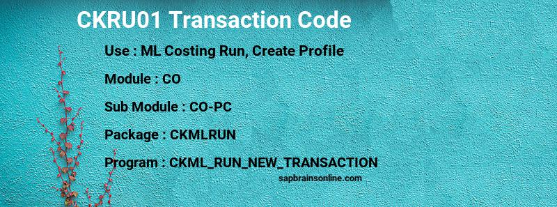 SAP CKRU01 transaction code