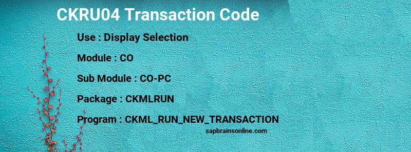 SAP CKRU04 transaction code