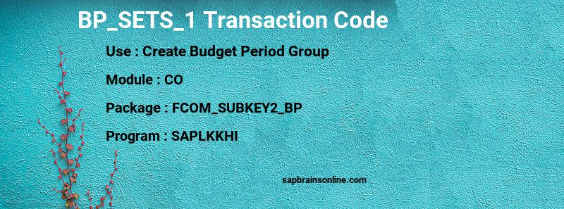 SAP BP_SETS_1 transaction code