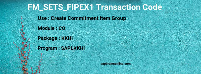 SAP FM_SETS_FIPEX1 transaction code