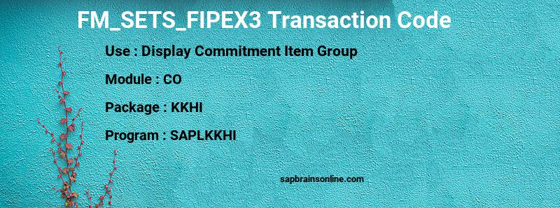 SAP FM_SETS_FIPEX3 transaction code